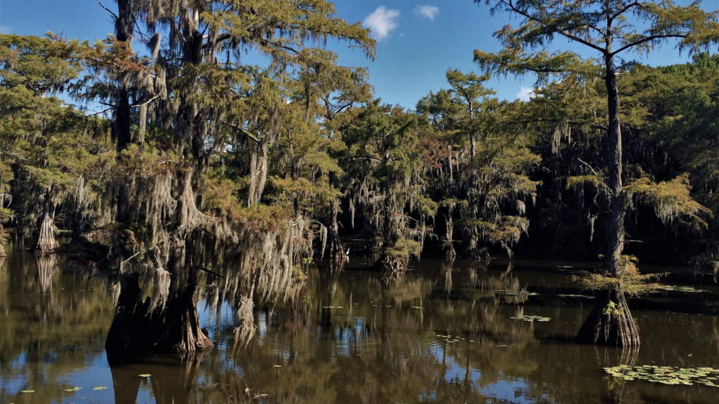 Bayou Chene Floodgate Protection Project Celebrates Completion - Arlen ...