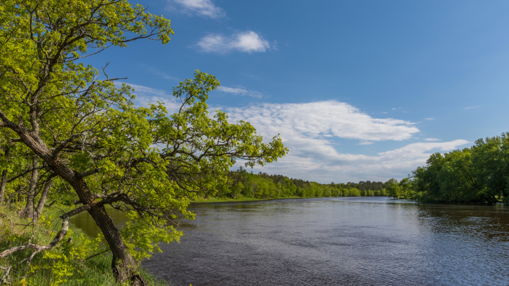 Protecting Louisiana with the Old River Control Complex - Arlen 